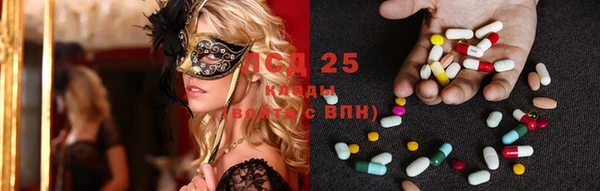 тгк Новодвинск