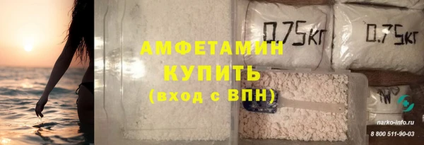 мдпв Новозыбков