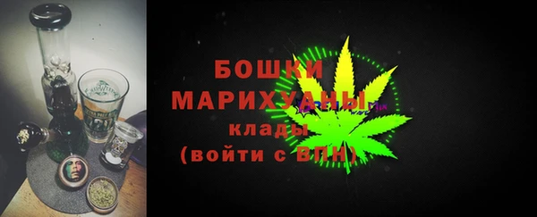 тгк Новодвинск