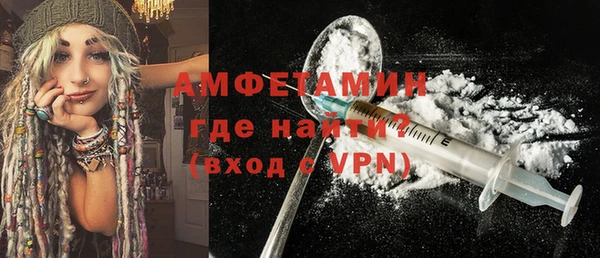 индика Горно-Алтайск