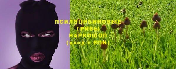 мдпв Новозыбков