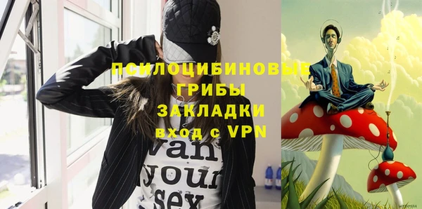 тгк Новодвинск