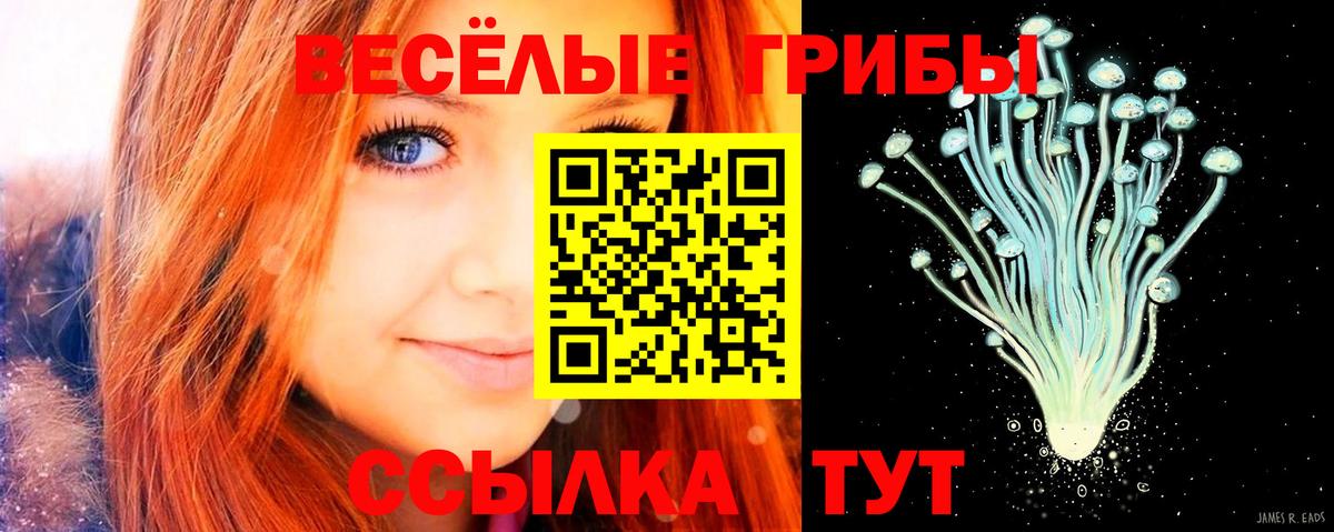 Сальск  Псилоцибиновые грибы прущие грибы  Вход с VPN 
