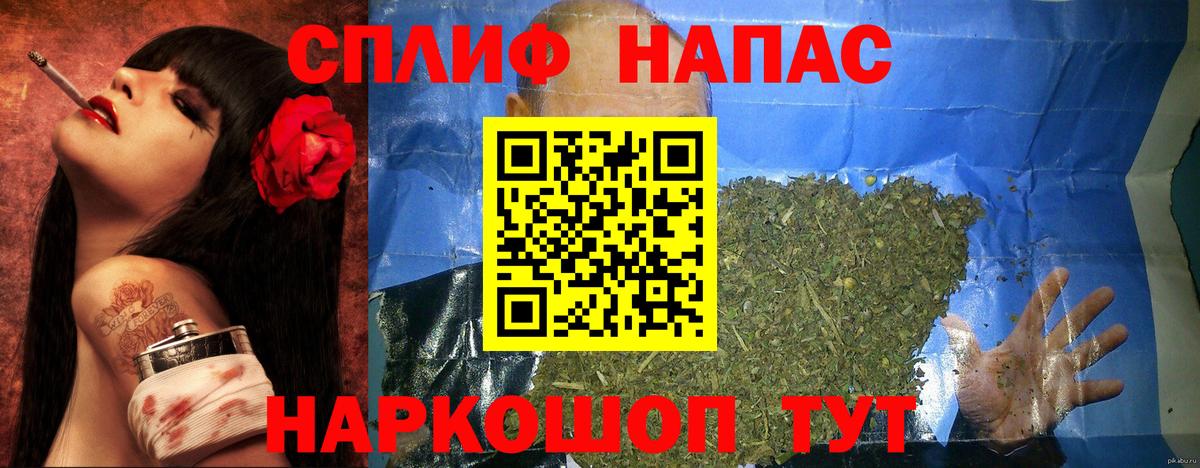 МАРИХУАНА конопля Сальск