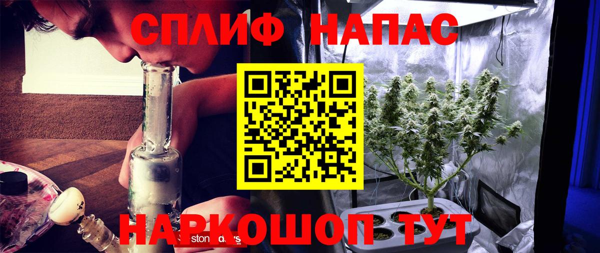 Марихуана Bruce Banner  Вход с VPN  Сальск  Марихуана Ganja 